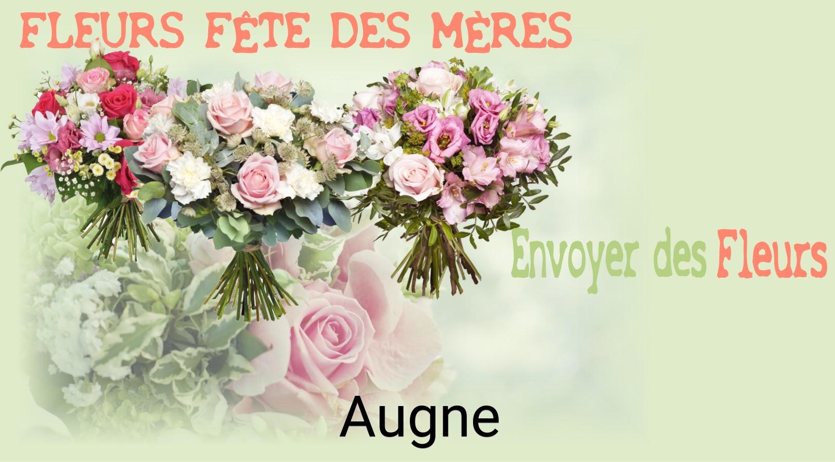 Bouquet de Fête des Mères livré à Augne